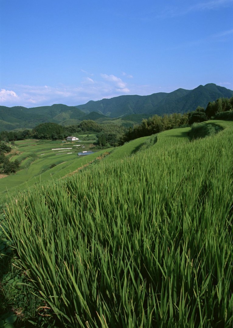 风景散文摘抄加赏析（经典美文摘抄及赏析）