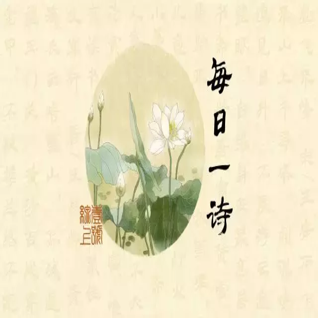 黄鹤一去不复返下一句是什么（黄鹤一去不复返原文赏析）