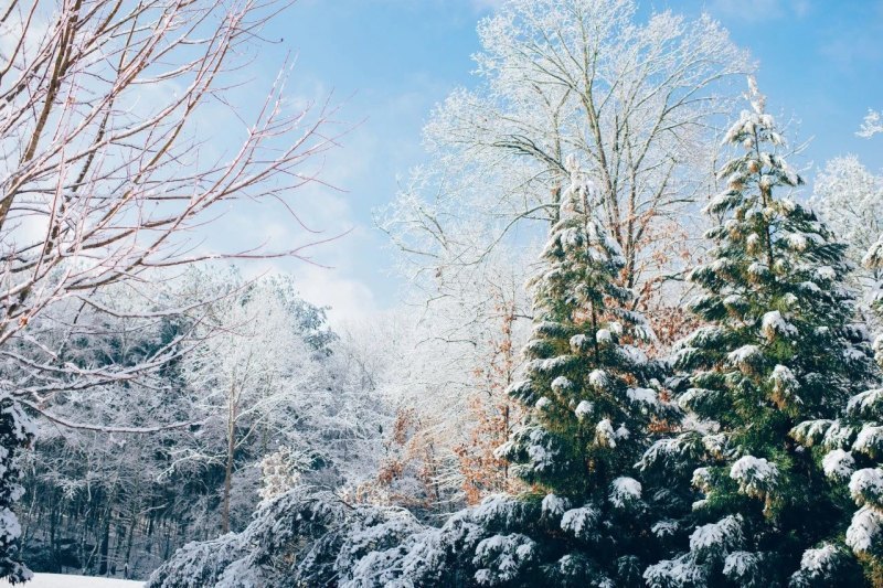 赞美雪的诗句有哪些（赞美雪的诗句唯美）