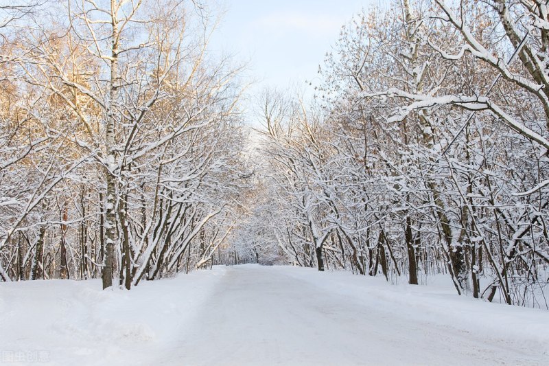 雪景诗句唯美简短（描述雪景的唯美古风诗句）