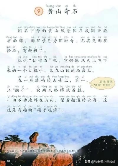 黄山奇石教学反思简短（黄山奇石详细教案）