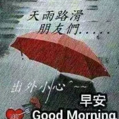 雨天短句暖心话早安语（最值收藏的雨天唯美语录）