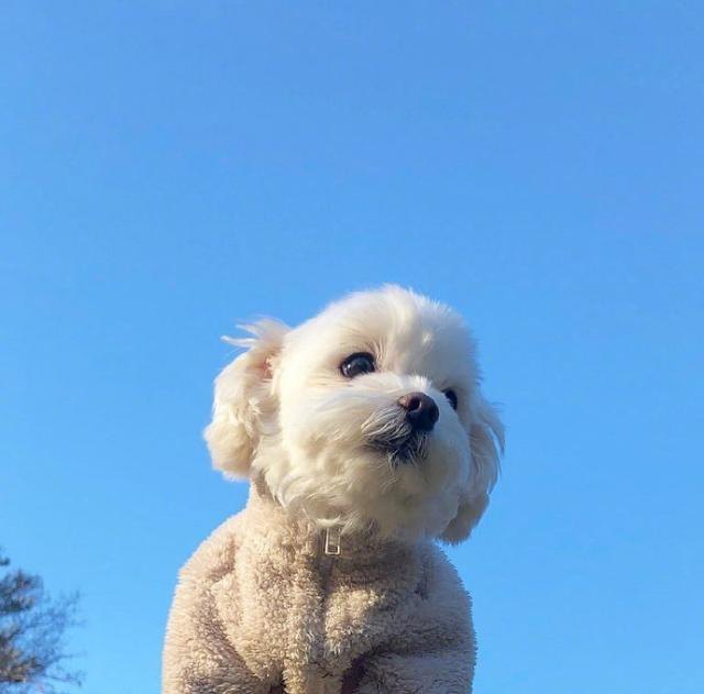 鼓励自己的句子励志朋友圈（励志的句子致自己奋斗）