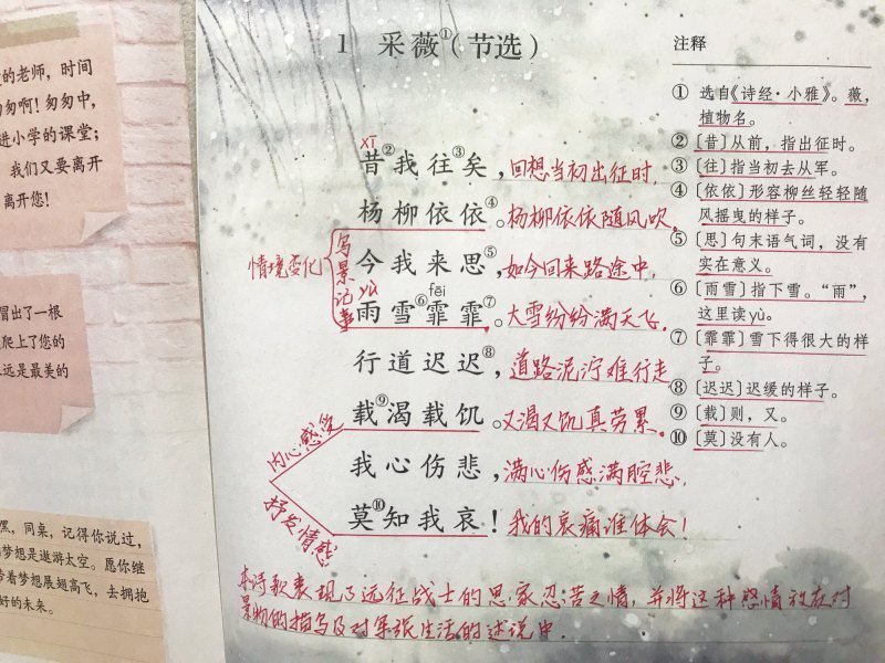 采微诗节选的诗意（关于采微全文学习）