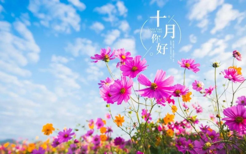 金秋十月的好词好句（描写金秋的唯美句子）
