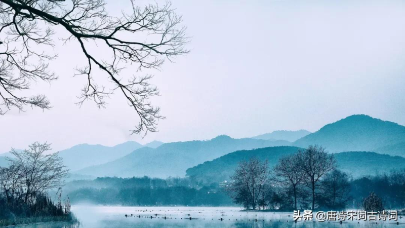 赞美夜景诗句（写夜景的诗句名句）